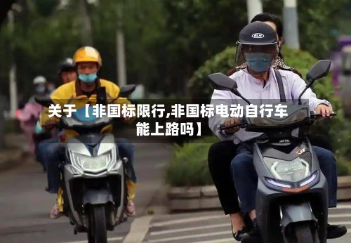 关于【非国标限行,非国标电动自行车能上路吗】-第3张图片