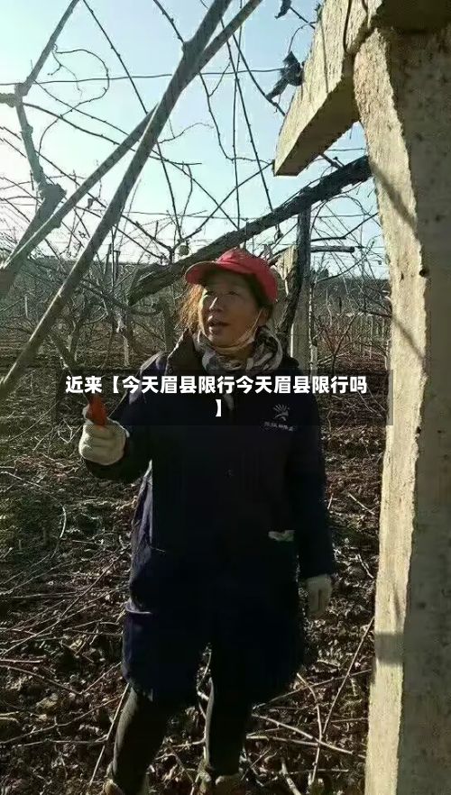近来【今天眉县限行今天眉县限行吗】