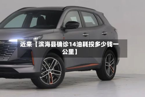 近来【滨海县确诊14油耗投多少钱一公里】-第2张图片