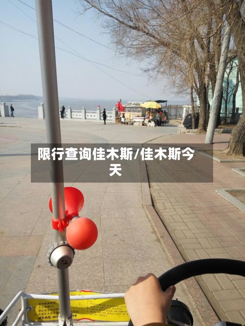 限行查询佳木斯/佳木斯今天